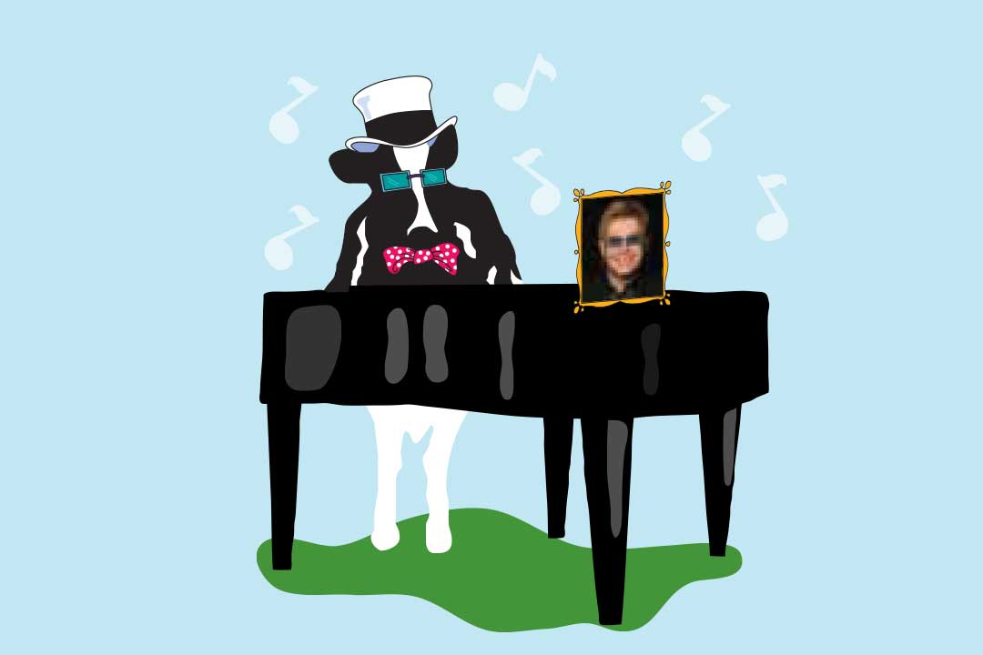 Woodie-lehmä ja piano sekä Elton Johnin kuva